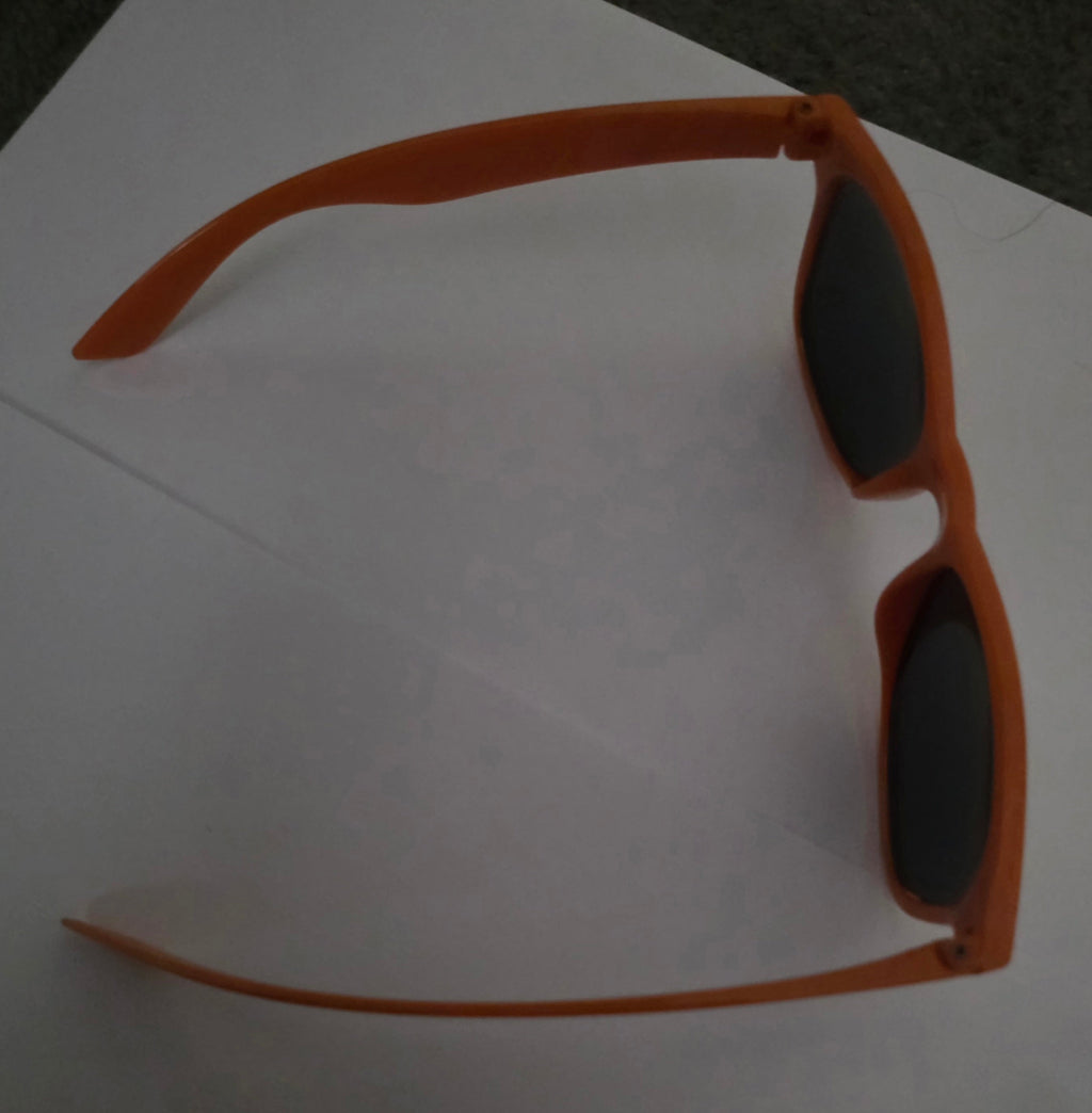 Destiny Sunglasses Loot Gaming Exclusive Bungie Collectible UV Shades - Grown Up Kids
