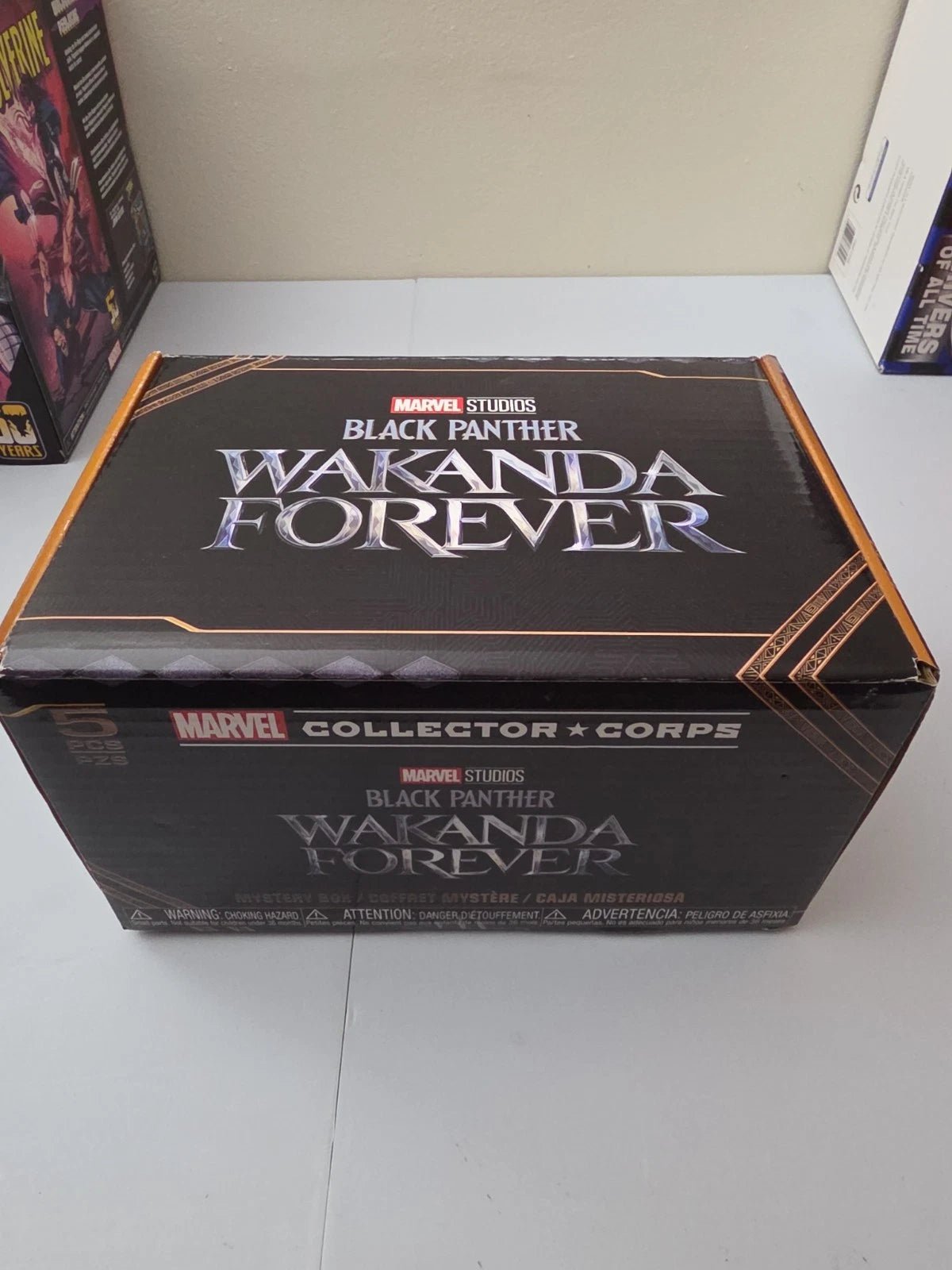 Funko Pop Collector Corps BLACK PANTHER WAKANDA FOREVER Complete Box XL Shirt - Grown Up Kids