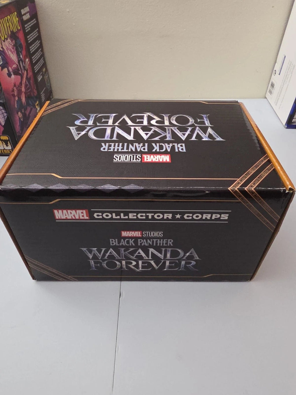 Funko Pop Collector Corps BLACK PANTHER WAKANDA FOREVER Complete Box XL Shirt - Grown Up Kids