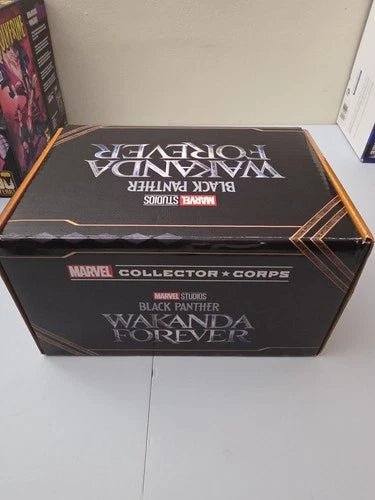 Funko Pop Collector Corps BLACK PANTHER WAKANDA FOREVER Complete Box XL Shirt - Grown Up Kids