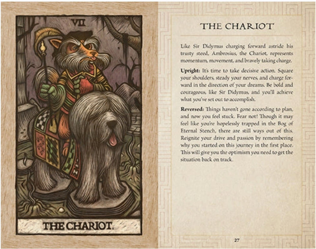 Labyrinth Tarot Deck and Guidebook - Grown Up Kids
